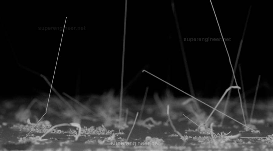 Tin whiskers - SEM image